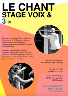 stage ancrage de la voix